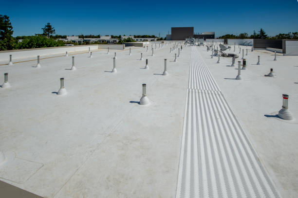 Best Hot Roofs  in Kenton, TN
